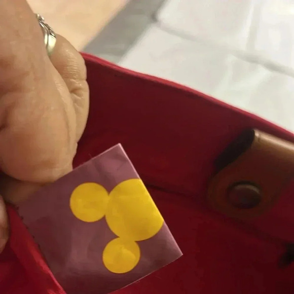 - Disney Winnie the Pooh and Tiger too tote. Great condition - Picture 7 of 9